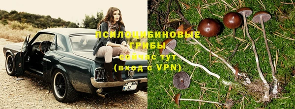 мяу мяу кристалл Осинники