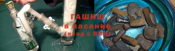 шишки Няндома