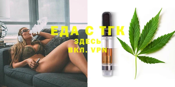 шишки Няндома