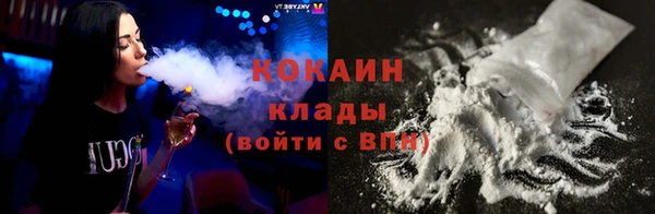 шишки Няндома