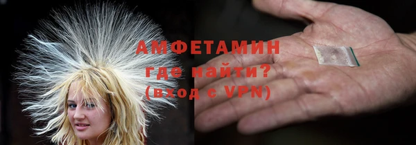 шишки Няндома