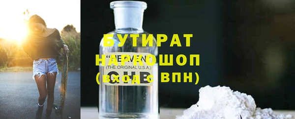 шишки Няндома