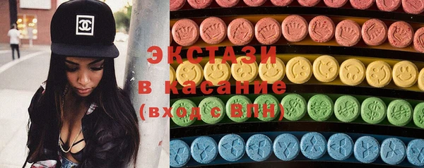 шишки Няндома