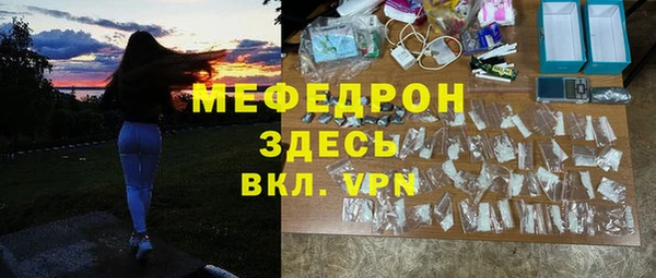 шишки Няндома