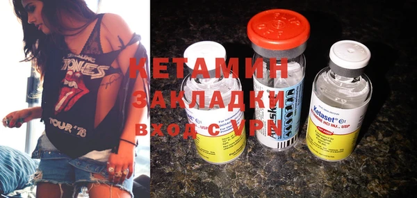 шишки Няндома