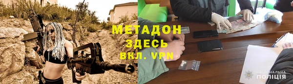 шишки Няндома