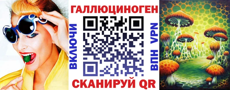 купить наркотик  кракен ONION  Псилоцибиновые грибы GOLDEN TEACHER  Мирный 