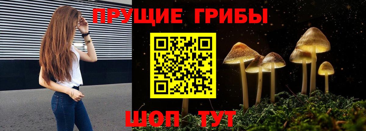 Галлюциногенные грибы Magic Shrooms  Вход с VPN  Псилоцибиновые грибы MAGIC MUSHROOMS  Мирный 