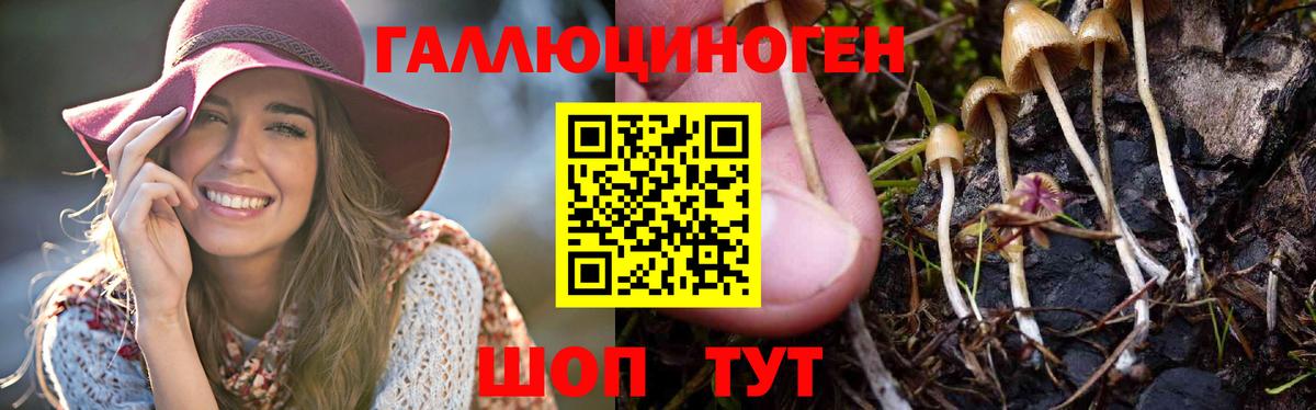 Галлюциногенные грибы MAGIC MUSHROOMS Мирный